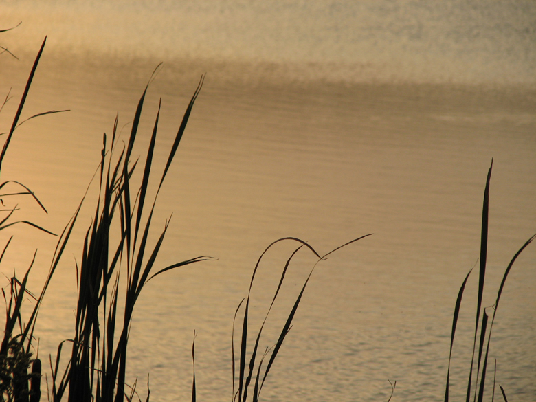 Prairie center lake