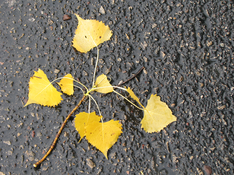 Yellow on concrete