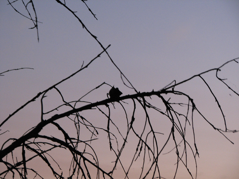 Twilight, Lake Calhoun