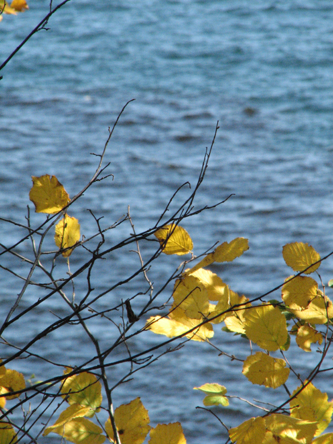 Yellow and Lake Superior, Tettagouche State Park