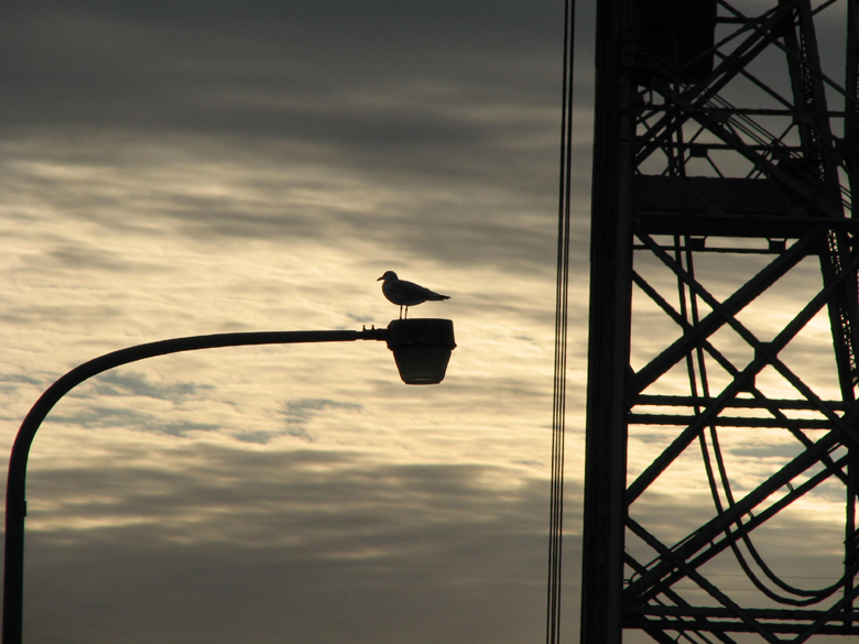 Seagull and Duluth bridge