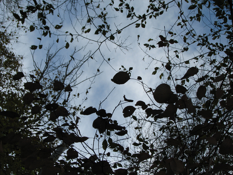 shadows on the blue sky...