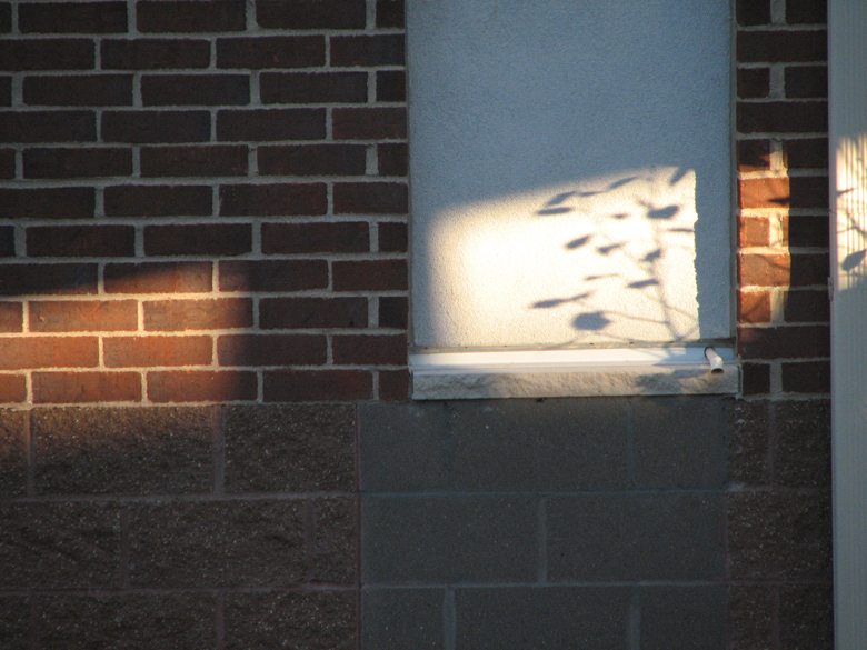 shadows on the wall...