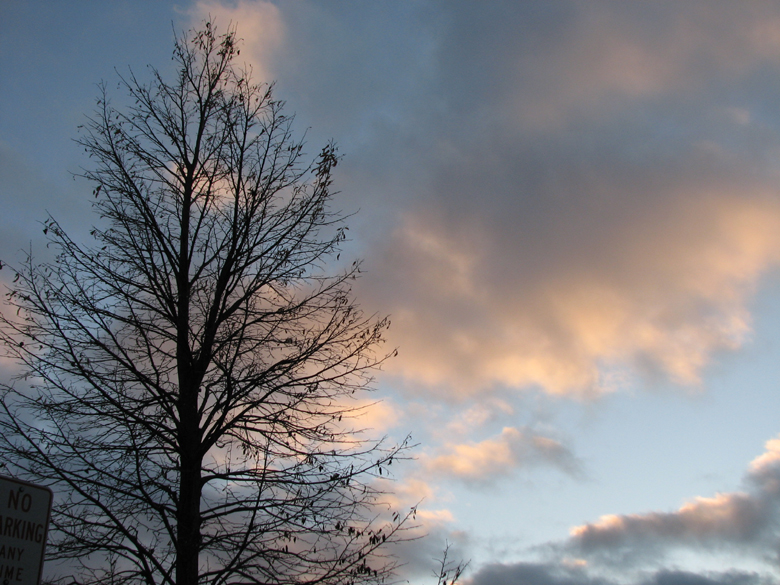 blue sky from the paintings...