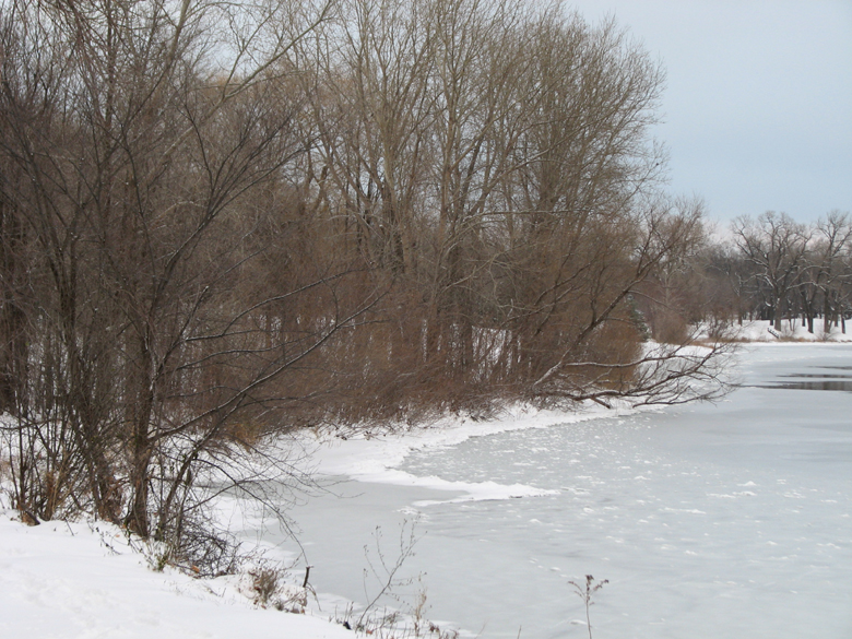 twigs and frozen lake