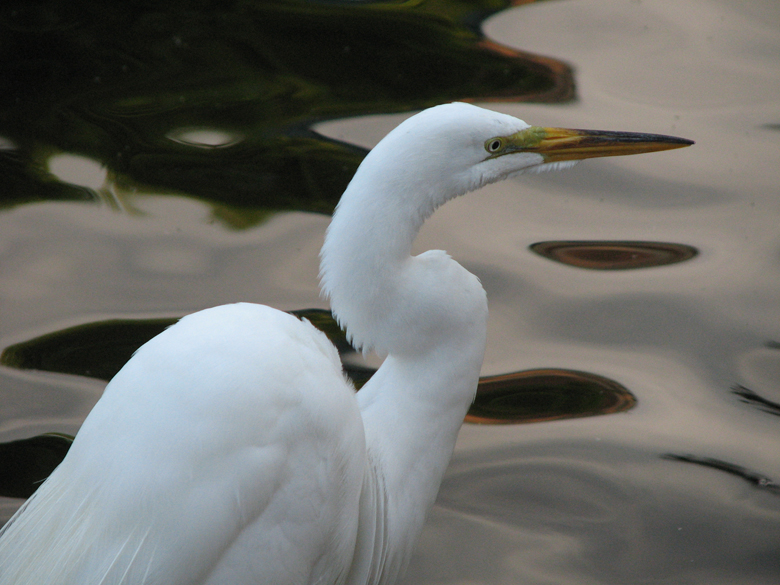 Centennial Lakes