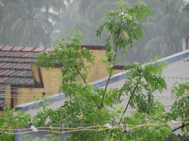 November rain, Salem, India