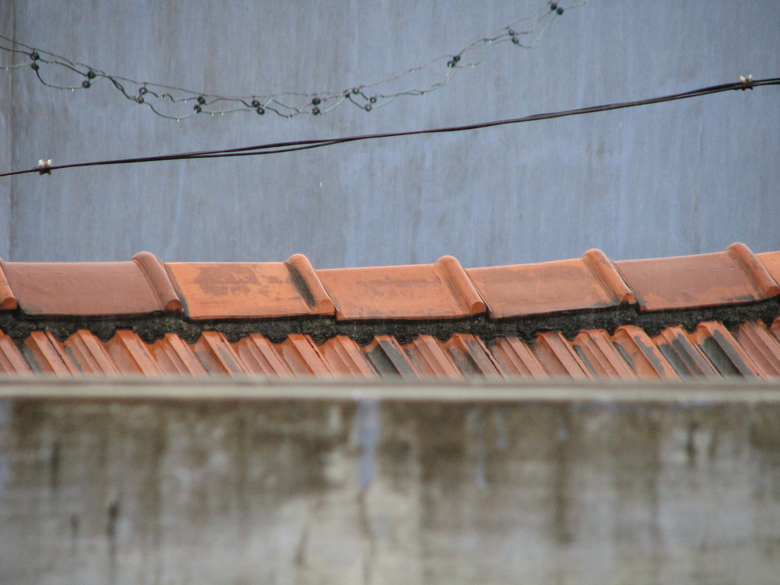 November rain, Salem, India