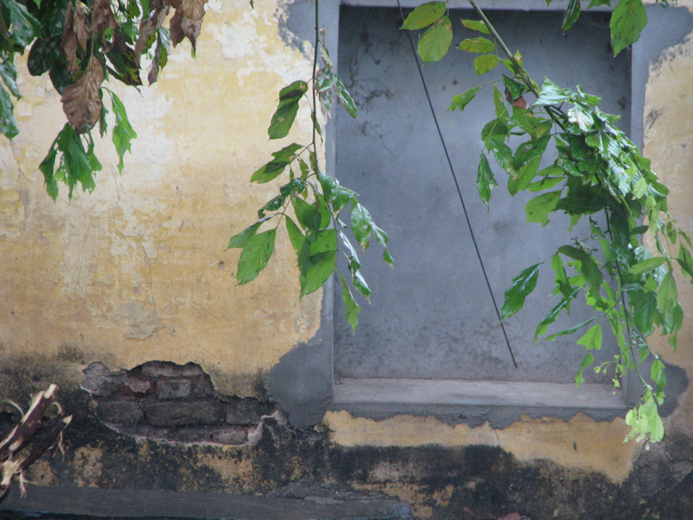 November rain, Salem, India