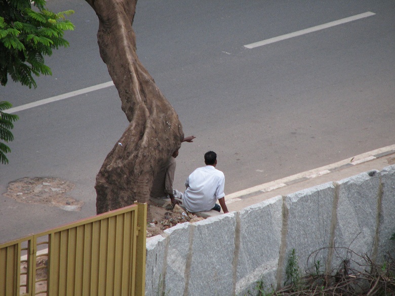 by the roadside