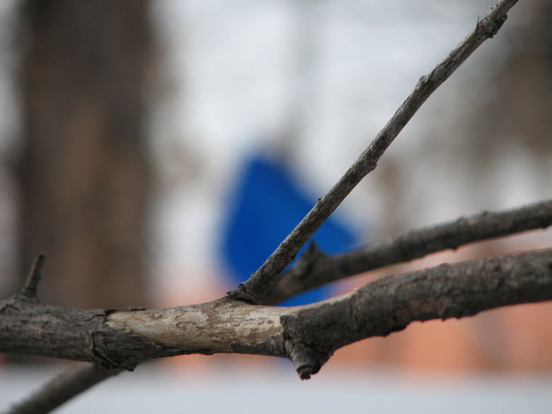 blue defocused