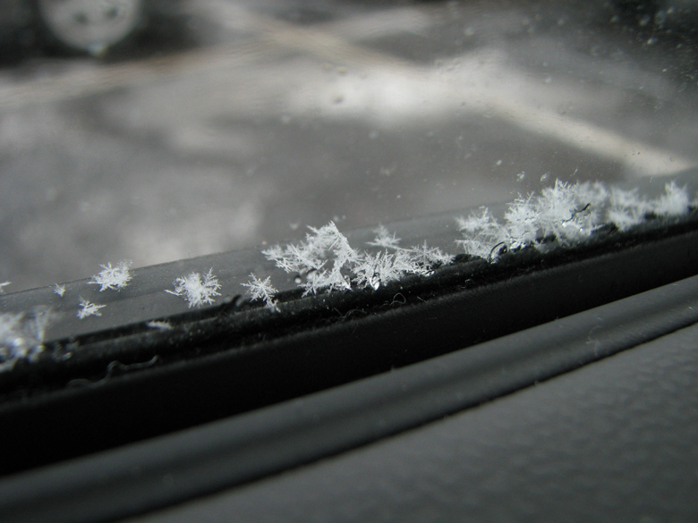 beautiful big flakes