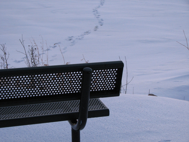 daring footsteps on lake