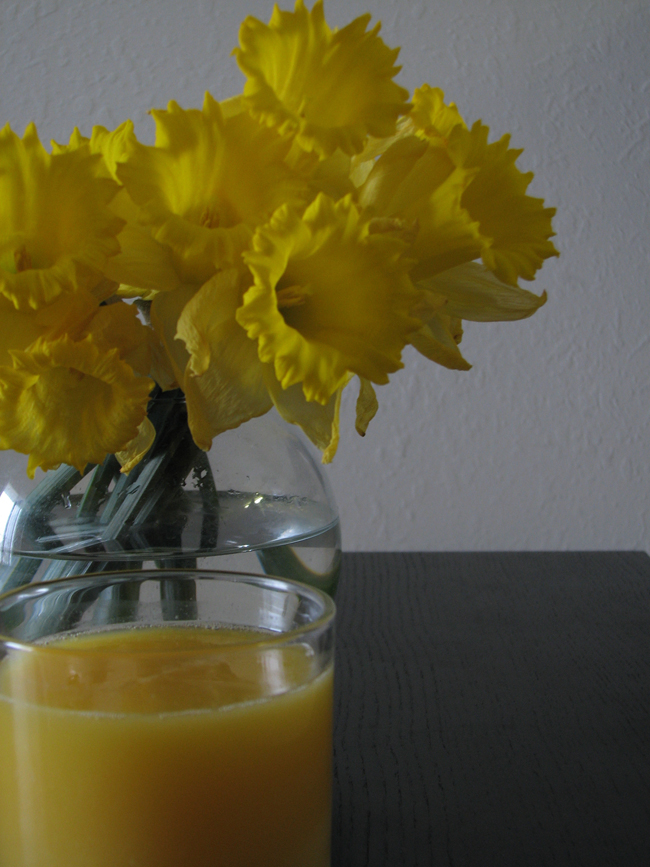 daffodils and OJ