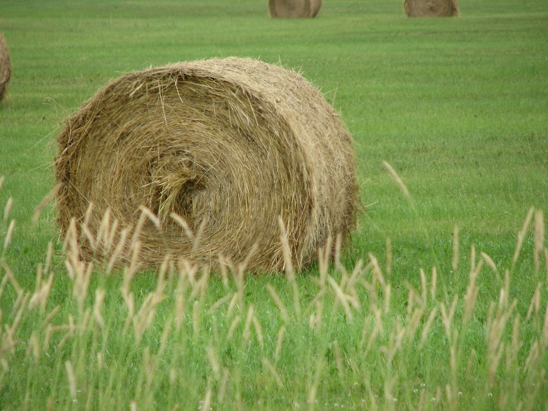 Haystack