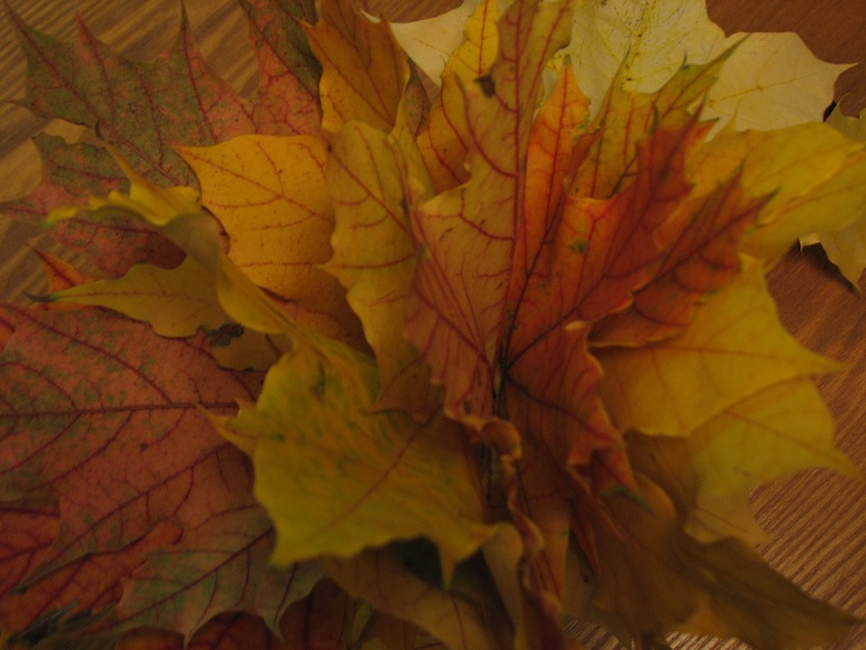 fall leaves in a vase