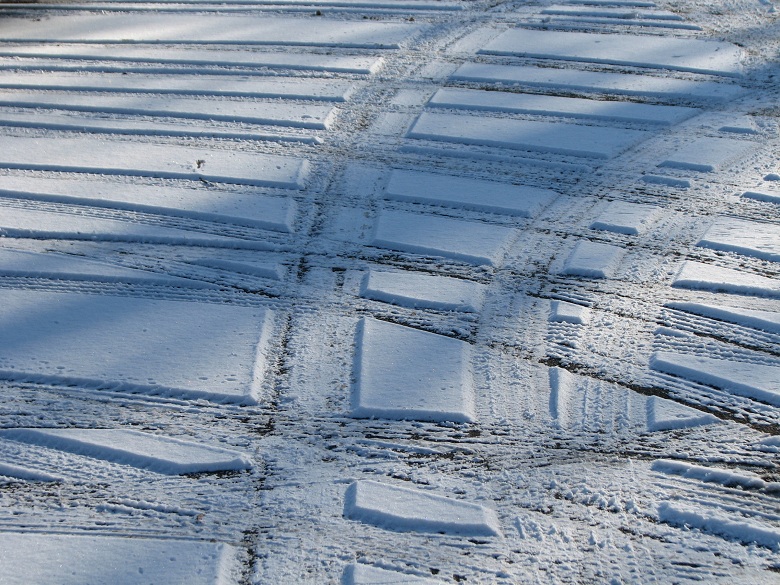 tracks on snow