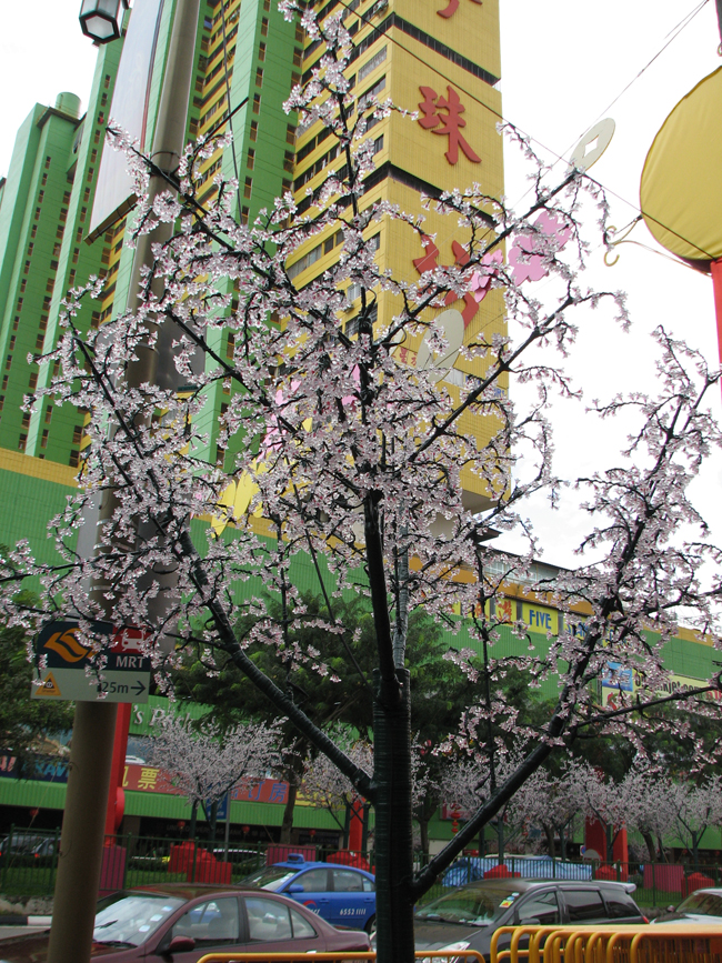 China Town, Singapore