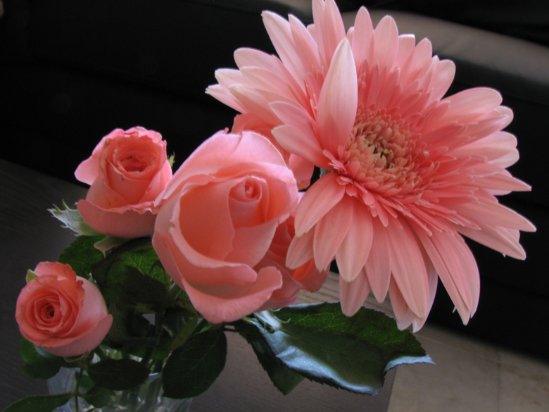 roses and daisies