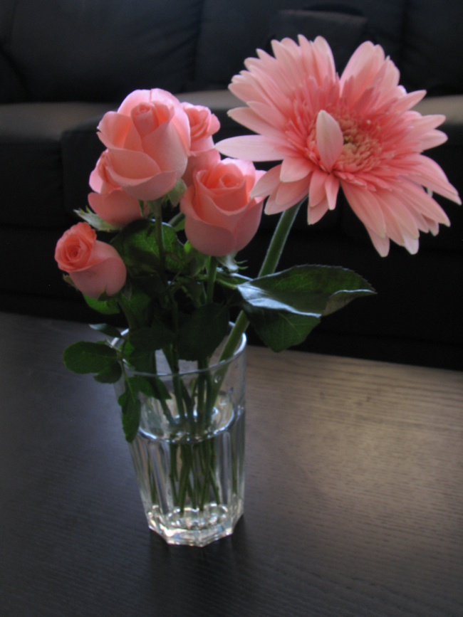 roses and daisies