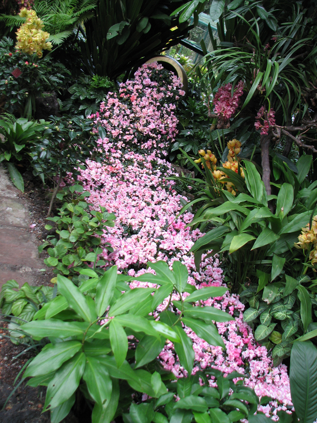 Botanical Gardens Singapore