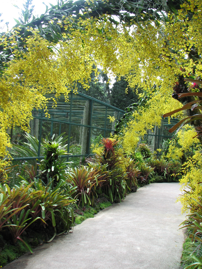 Botanical Gardens Singapore