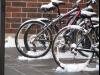 frosting on the bikes