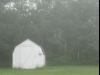 foggy morning, Swensen's cottage, bayfield wisconsin