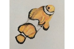 fish1